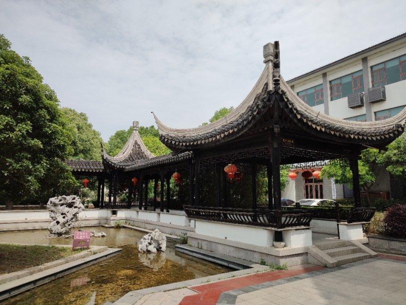 饿狮救援